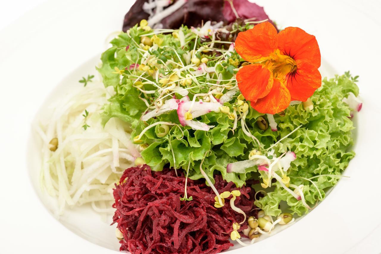 Berghues Schratt - Einfach Anders - Ihr Vegetarisches Und Veganes Biohotel Oberstaufen Kültér fotó