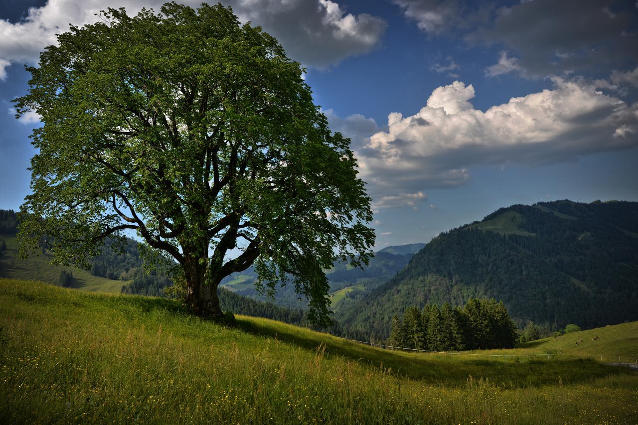 Berghues Schratt - Einfach Anders - Ihr Vegetarisches Und Veganes Biohotel Oberstaufen Kültér fotó