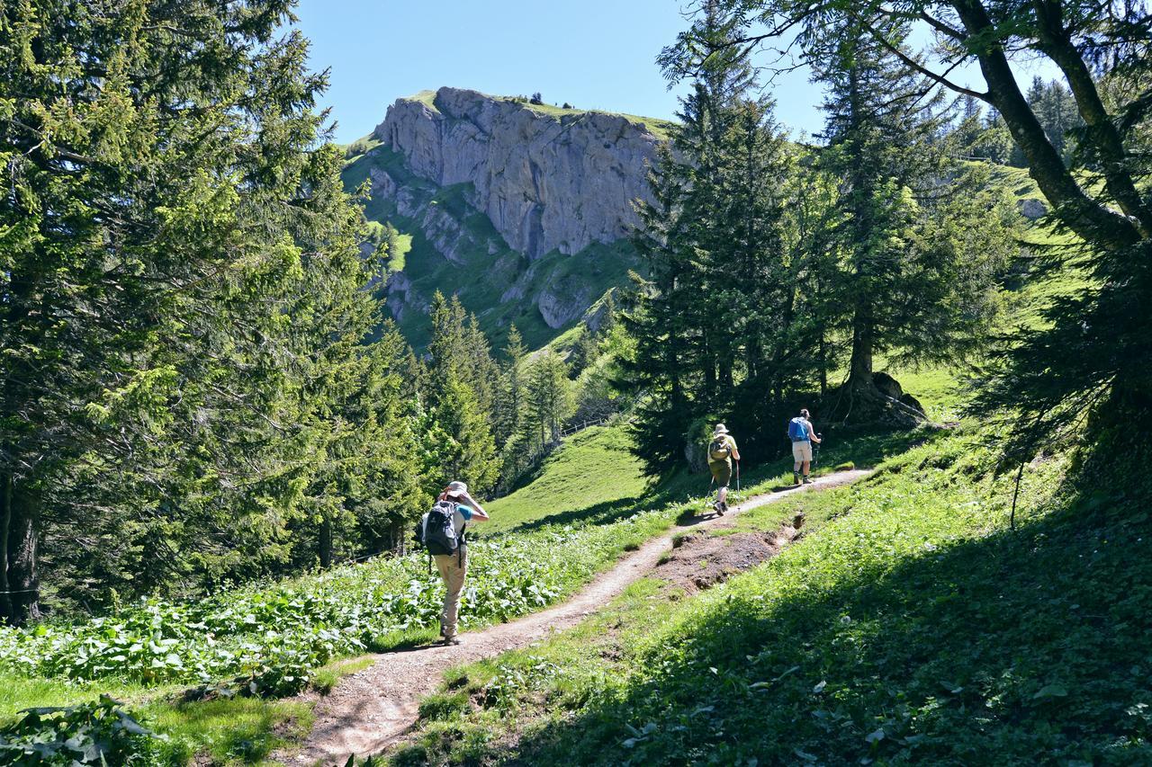 Berghues Schratt - Einfach Anders - Ihr Vegetarisches Und Veganes Biohotel Oberstaufen Kültér fotó