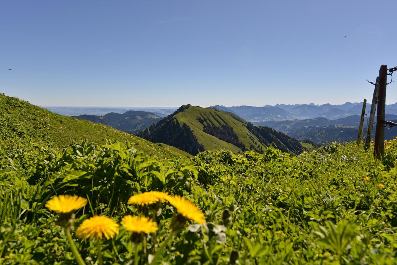 Berghues Schratt - Einfach Anders - Ihr Vegetarisches Und Veganes Biohotel Oberstaufen Kültér fotó