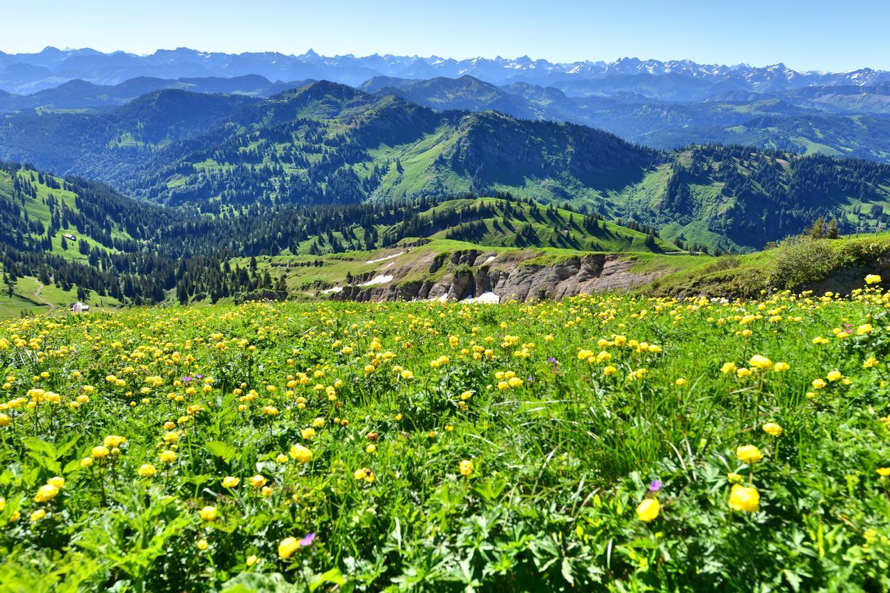 Berghues Schratt - Einfach Anders - Ihr Vegetarisches Und Veganes Biohotel Oberstaufen Kültér fotó